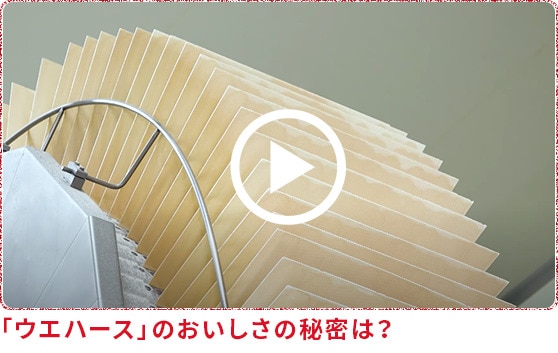 Online factory video