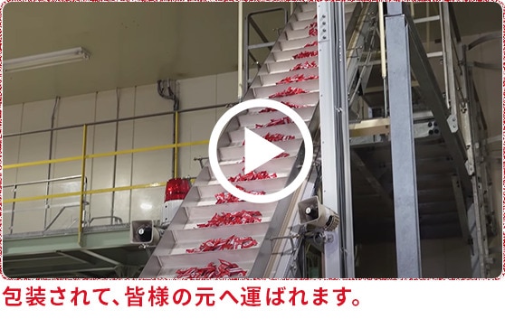 Online factory video