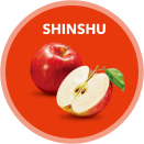 shinshu